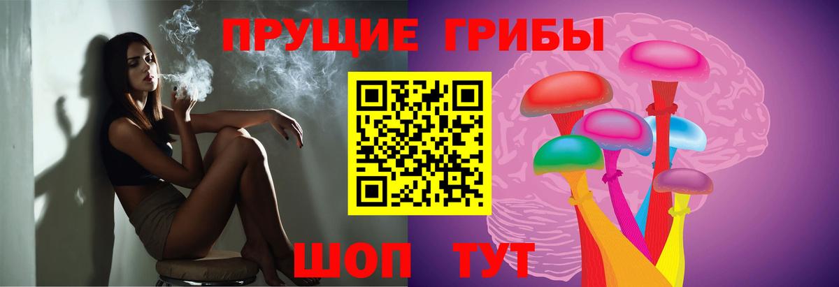Галлюциногенные грибы Cubensis  Вход с VPN  Гай  Псилоцибиновые грибы ЛСД 